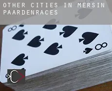 Other cities in Mersin  paardenraces