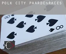 Polk City  paardenraces