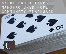 Saddlebrook Farms Manufactured Home Community  blackjack