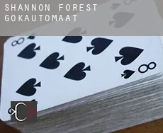 Shannon Forest  gokautomaat