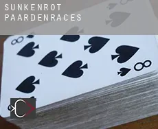 Sunkenrot  paardenraces