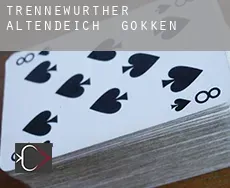 Trennewurther Altendeich  gokken