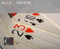 Bach  gokken