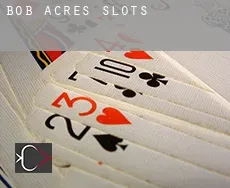 Bob Acres  slots