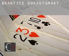 Brantice gokautomaat