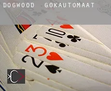 Dogwood  gokautomaat