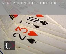 Gertrudenhof  gokken
