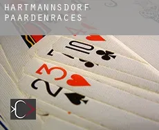Hartmannsdorf  paardenraces