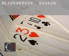 Meadowbrook  gokken