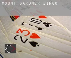 Mount Gardner  bingo