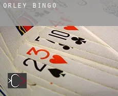 Orley  bingo