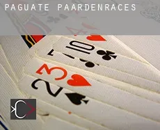Paguate  paardenraces