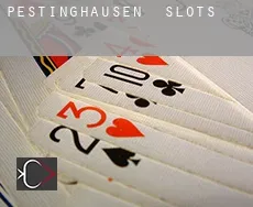 Pestinghausen  slots