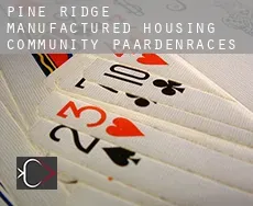 Pine Ridge Manufactured Housing Community paardenraces