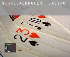 Schneckenhofen casino