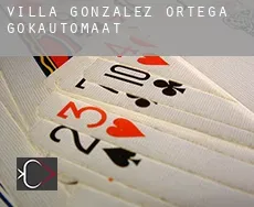 Villa González Ortega  gokautomaat