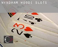 Wyndham Woods  slots