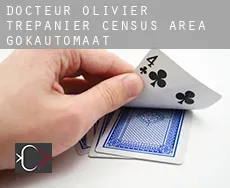 Docteur-Olivier-Trépanier (census area)  gokautomaat