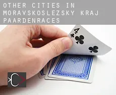 Other cities in Moravskoslezsky kraj paardenraces