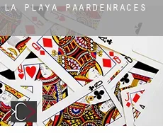 La Playa  paardenraces
