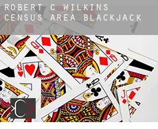 Robert-C.-Wilkins (census area)  blackjack