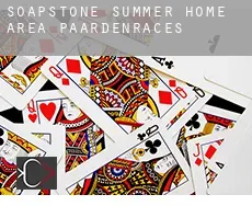 Soapstone Summer Home Area  paardenraces