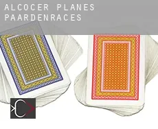 Alcocer de Planes paardenraces