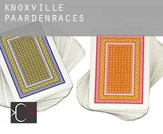 Knoxville paardenraces