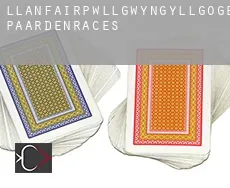 Llanfairpwll­gwyngyllgogerychwyrndrobwllllantysiliogogogoch  paardenraces