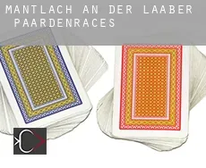 Mantlach an der Laaber  paardenraces
