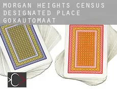 Morgan Heights  gokautomaat
