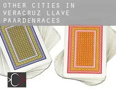 Other cities in Veracruz-Llave paardenraces