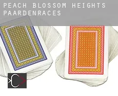 Peach Blossom Heights  paardenraces