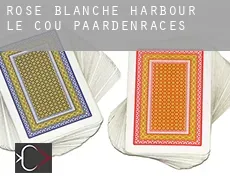 Rose Blanche-Harbour Le Cou  paardenraces
