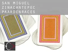 San Miguel Zinacantepec  paardenraces