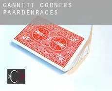 Gannett Corners  paardenraces