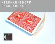 Herrmannsdorf paardenraces