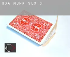 Hoa Murk slots