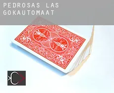 Pedrosas (Las) gokautomaat