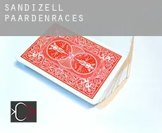 Sandizell paardenraces