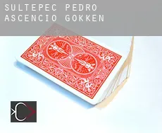 Sultepec de Pedro Ascencio de Alquisiras  gokken