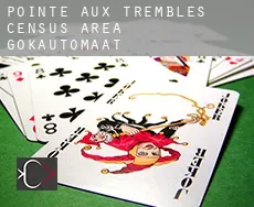 Pointe-aux-Trembles (census area)  gokautomaat