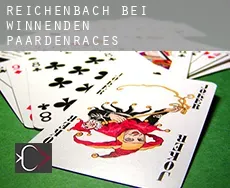Reichenbach bei Winnenden paardenraces