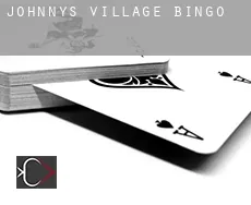 Johnnys Village  bingo