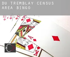 Du Tremblay (census area)  bingo