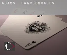 Adams paardenraces