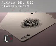 Alcalá del Río  paardenraces