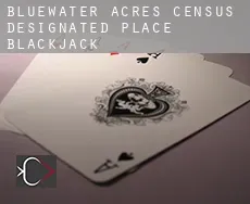 Bluewater Acres  blackjack