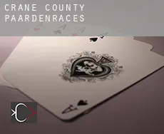 Crane County  paardenraces