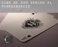 Cubo de Don Sancho (El)  paardenraces
